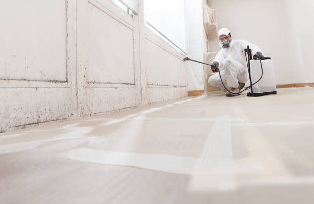 24/7 Emergency Mold Remediation experts in Edenton, NC